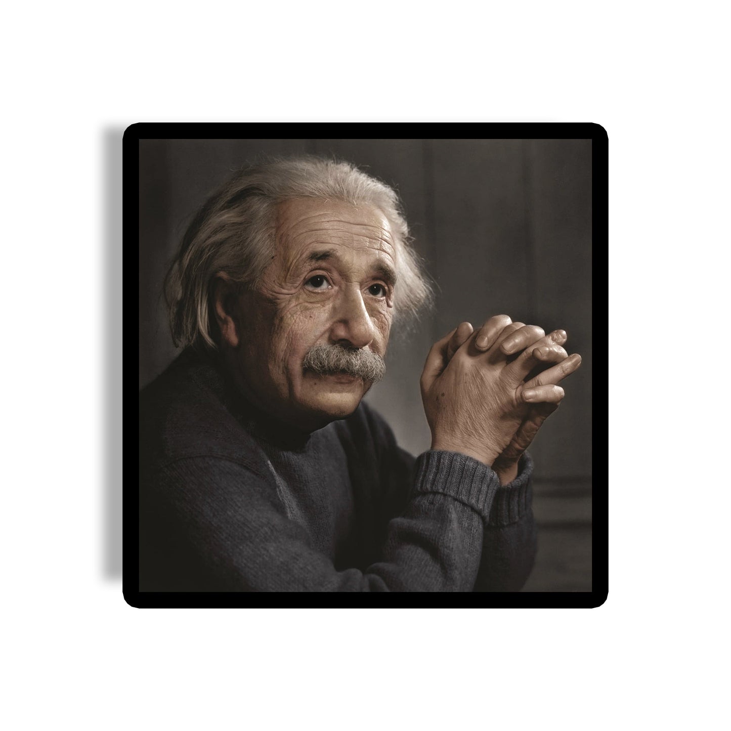 Albert Einstein Coaster 05