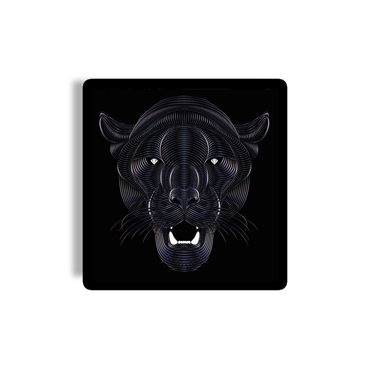 Panther Coaster 01