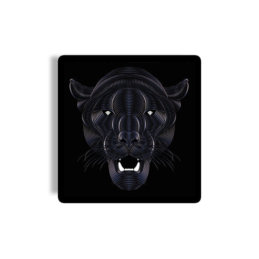 Panther Coaster 01